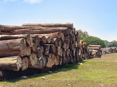 德福林-汕頭基地